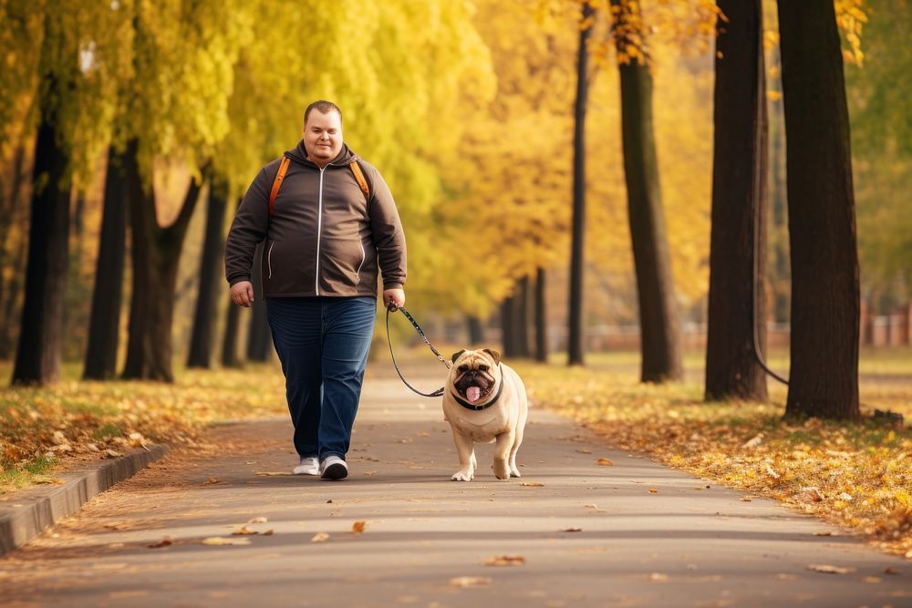 Autumn park dog walking mammal. 