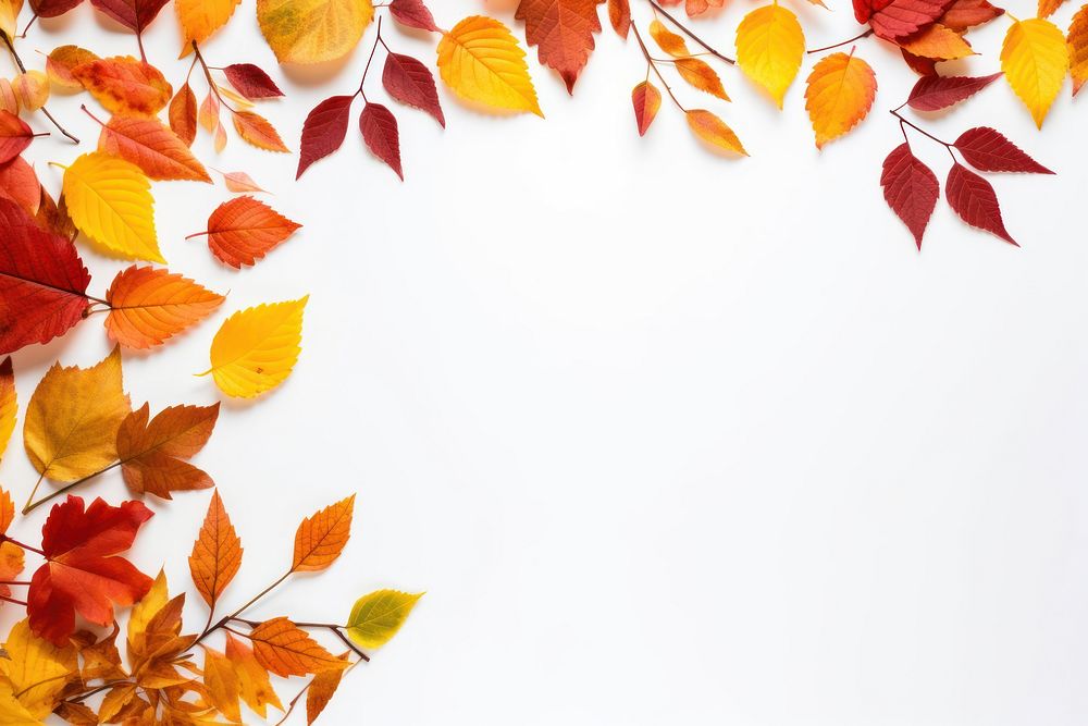 Autumn frame autumn backgrounds plant. AI generated Image by rawpixel.