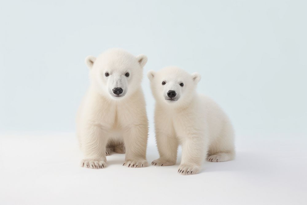 Baby polar bears wildlife animal mammal. AI generated Image by rawpixel.