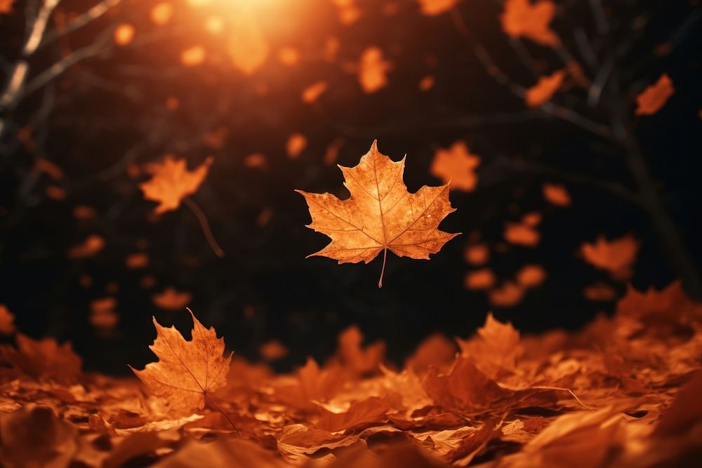 Autumn background backgrounds leaves forest. AI generated Image by rawpixel.