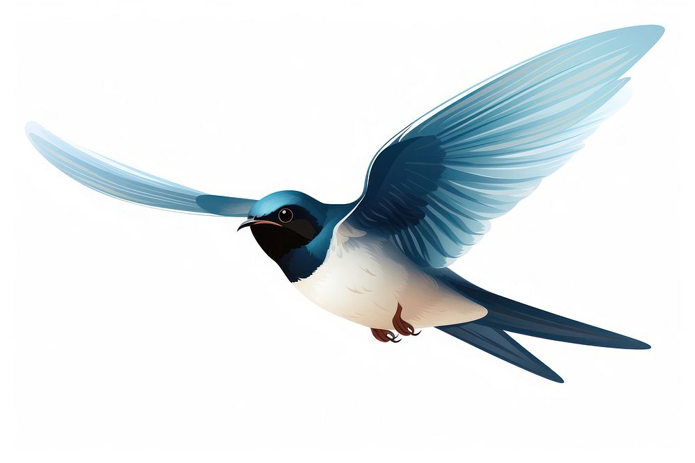 Swallow animal flying bird. AI generated Image by rawpixel.