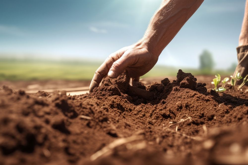 Soil gardening outdoors nature. AI generated Image by rawpixel.