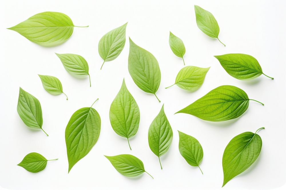 Green leaves green backgrounds plant. AI generated Image by rawpixel.