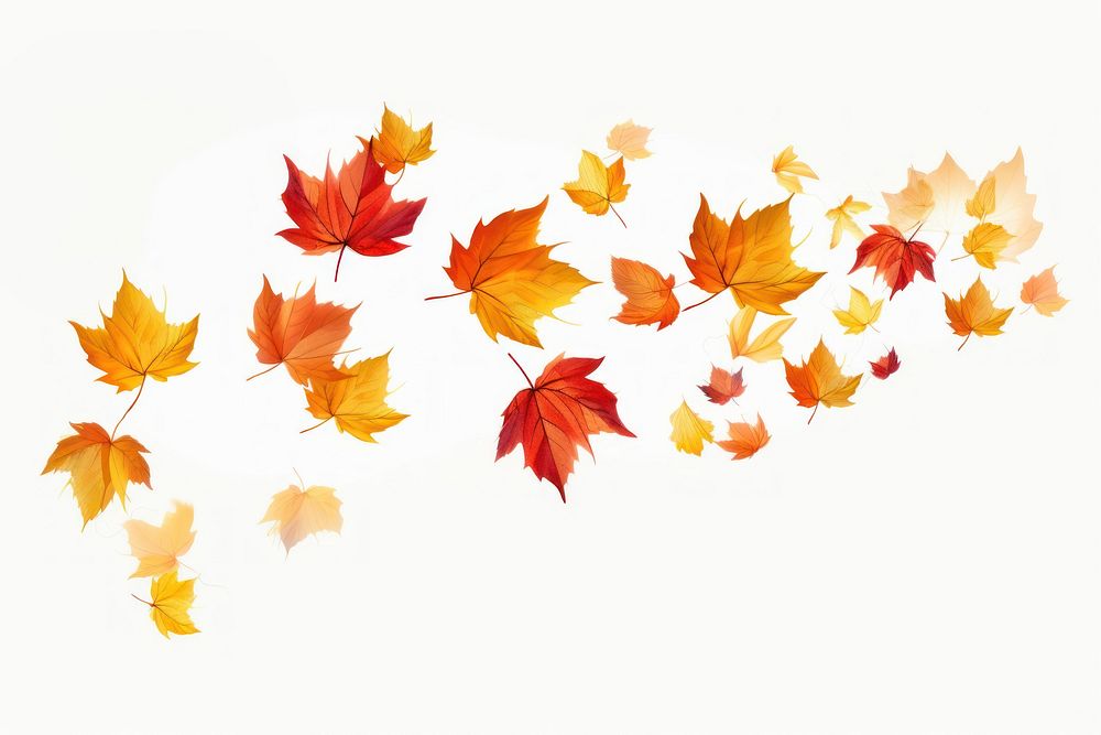 Falling autumn falling leaves maple. AI generated Image by rawpixel.