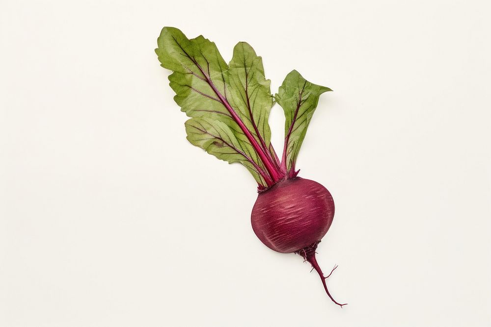 A beetroot vegetable radish plant. AI generated Image by rawpixel.