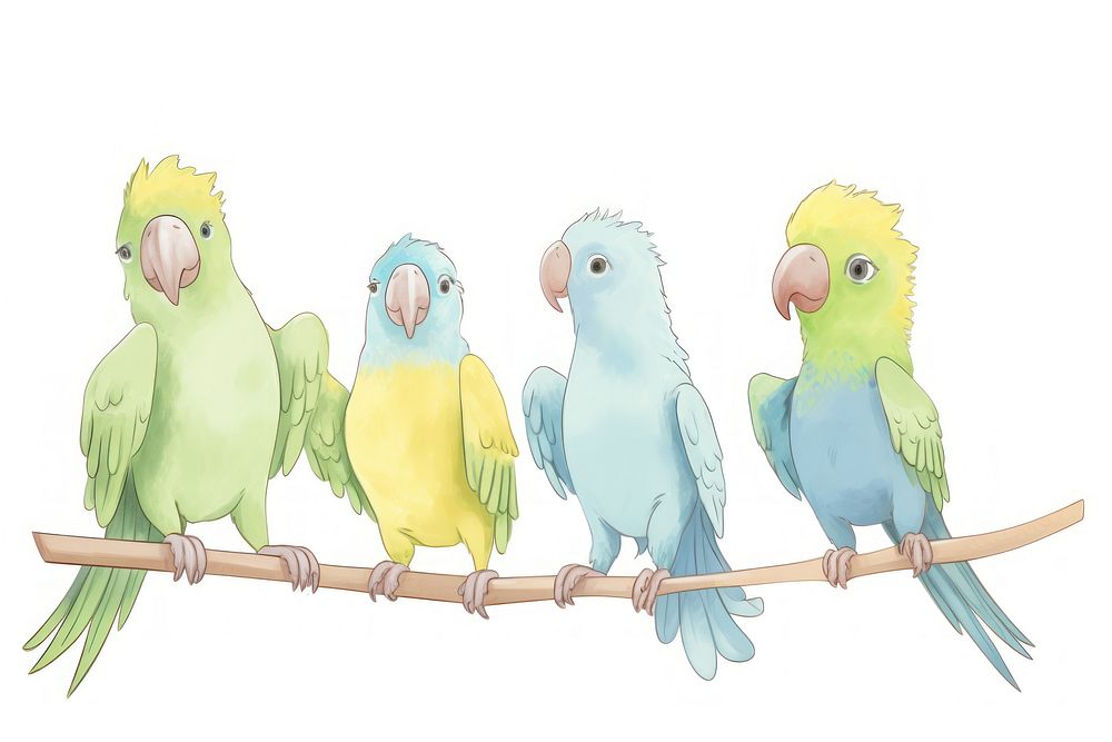 Parrots animal bird budgerigar. AI generated Image by rawpixel.