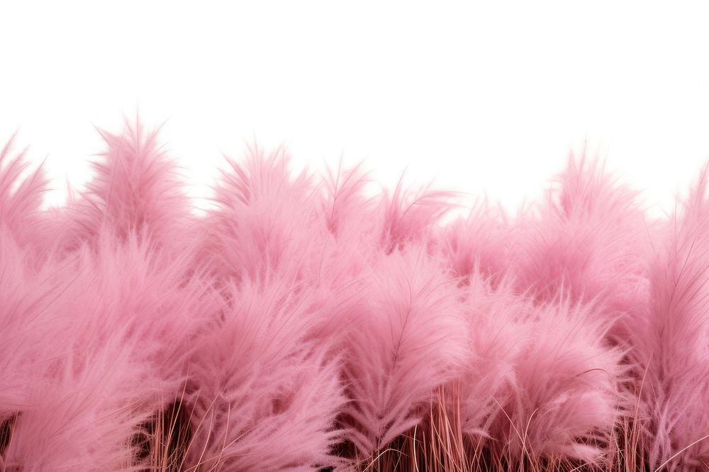 Backgrounds plant pink celebration. AI generated Image by rawpixel.