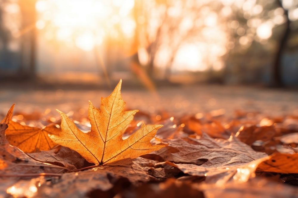 Backgrounds autumn leaves plant. AI generated Image by rawpixel.