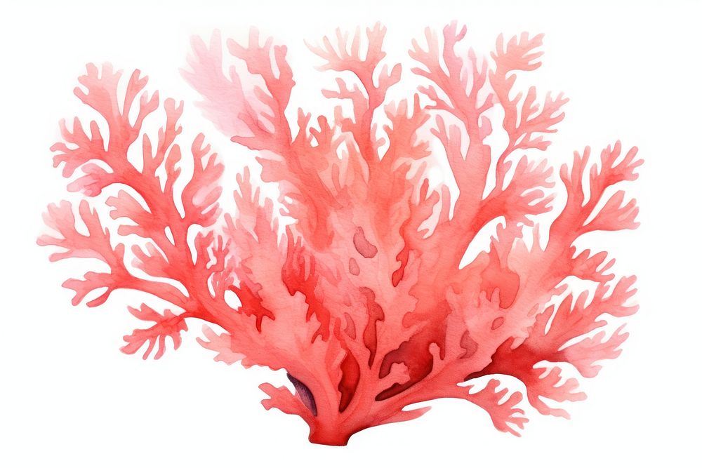 Coral outdoors nature water. AI generated Image by rawpixel.
