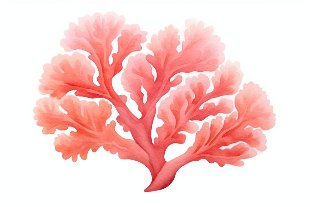 Coral plant leaf underwater. AI generated Image by rawpixel.