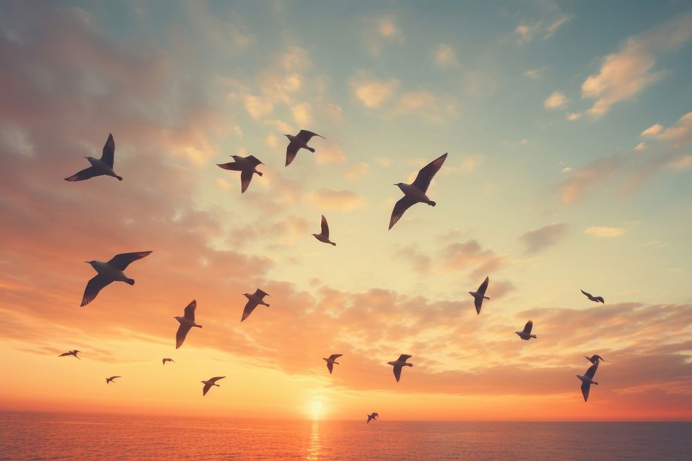Birds flying flock sky. AI generated Image by rawpixel.