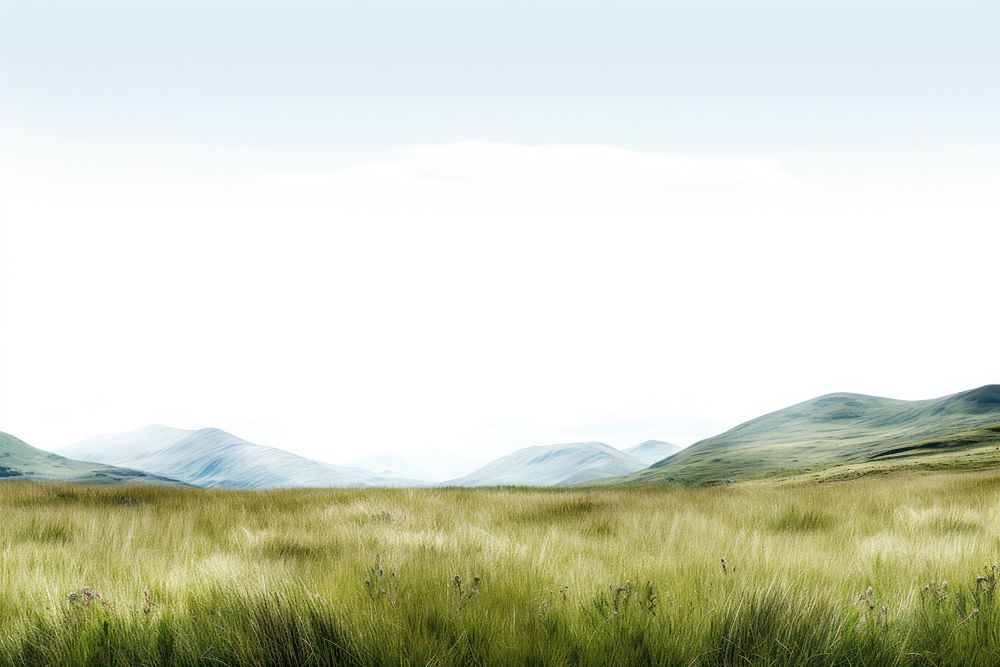 Meadow border land landscape grassland. AI generated Image by rawpixel.