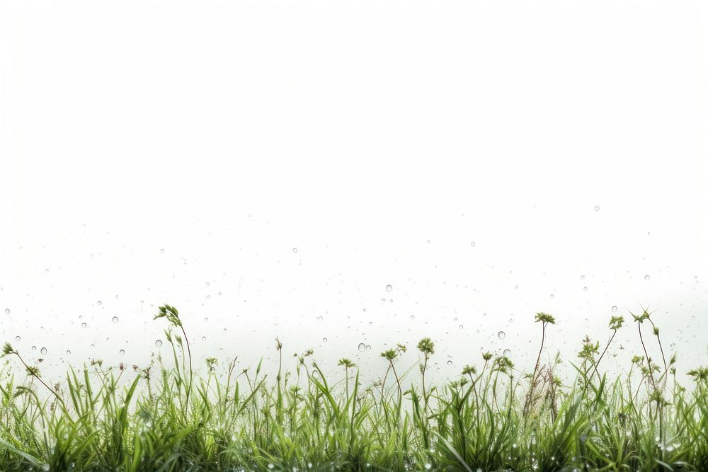 Backgrounds grassland outdoors nature. AI generated Image by rawpixel.