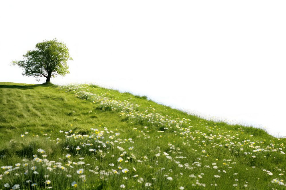 Meadow field grassland landscape. AI generated Image by rawpixel.