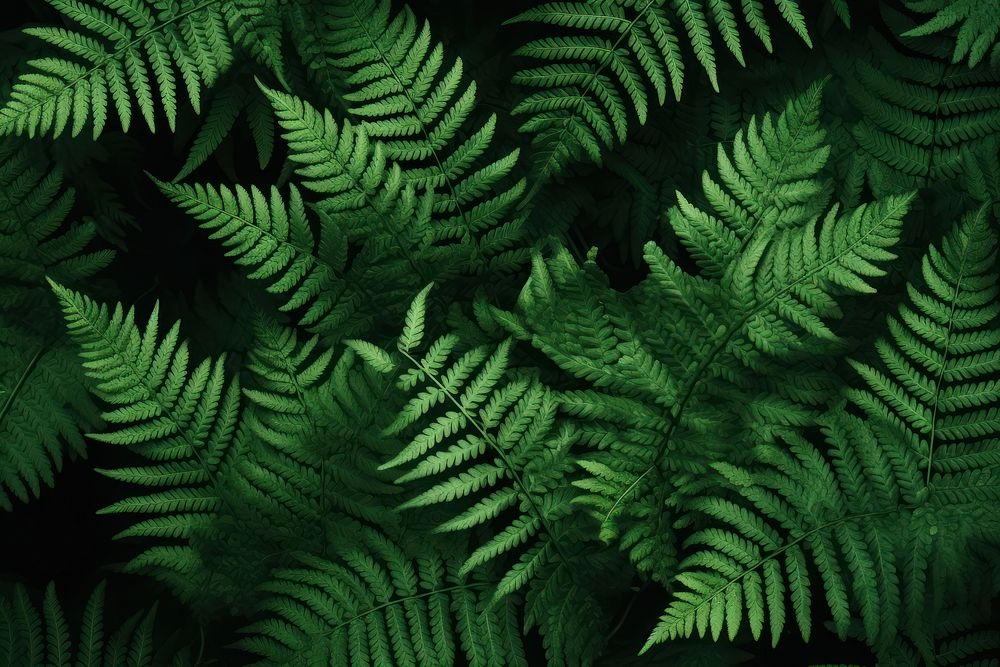 Leafy fern backgrounds plant. AI generated Image by rawpixel.