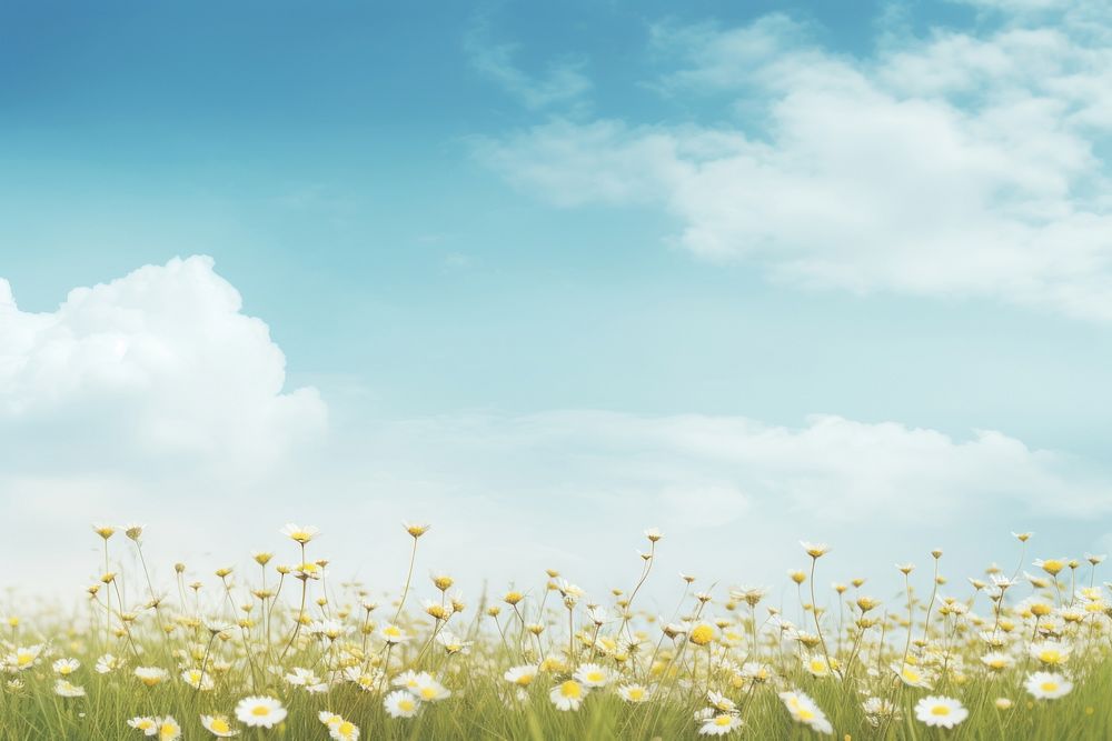 Field filled landscape flower backgrounds. AI generated Image by rawpixel.