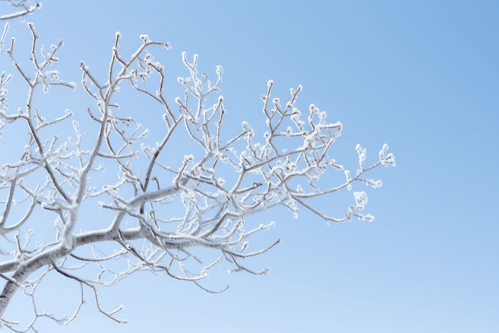 Tree Snow snow sky. AI generated Image by rawpixel.
