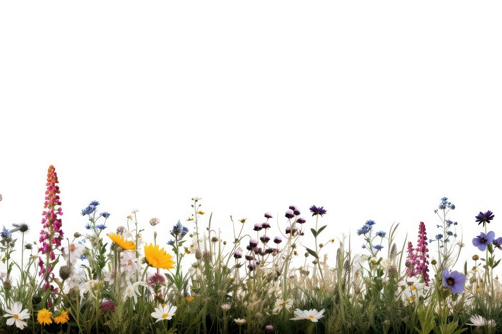 Meadow wildflower meadow landscape outdoors. AI generated Image by rawpixel.