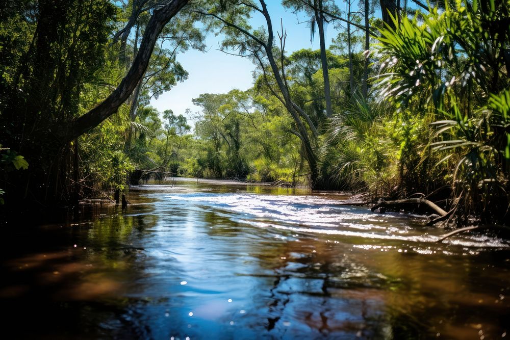 Wetland wilderness landscape outdoors. AI generated Image by rawpixel.