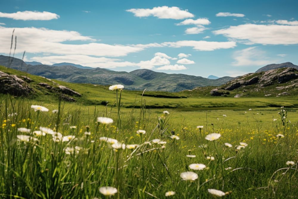 Daisy meadow landscape grassland highland. AI generated Image by rawpixel.