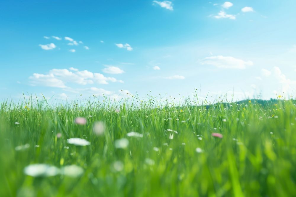 Daytime meadow backgrounds landscape outdoors. AI generated Image by rawpixel.