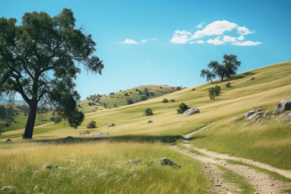 Meadow trail outdoors nature ground. AI generated Image by rawpixel.