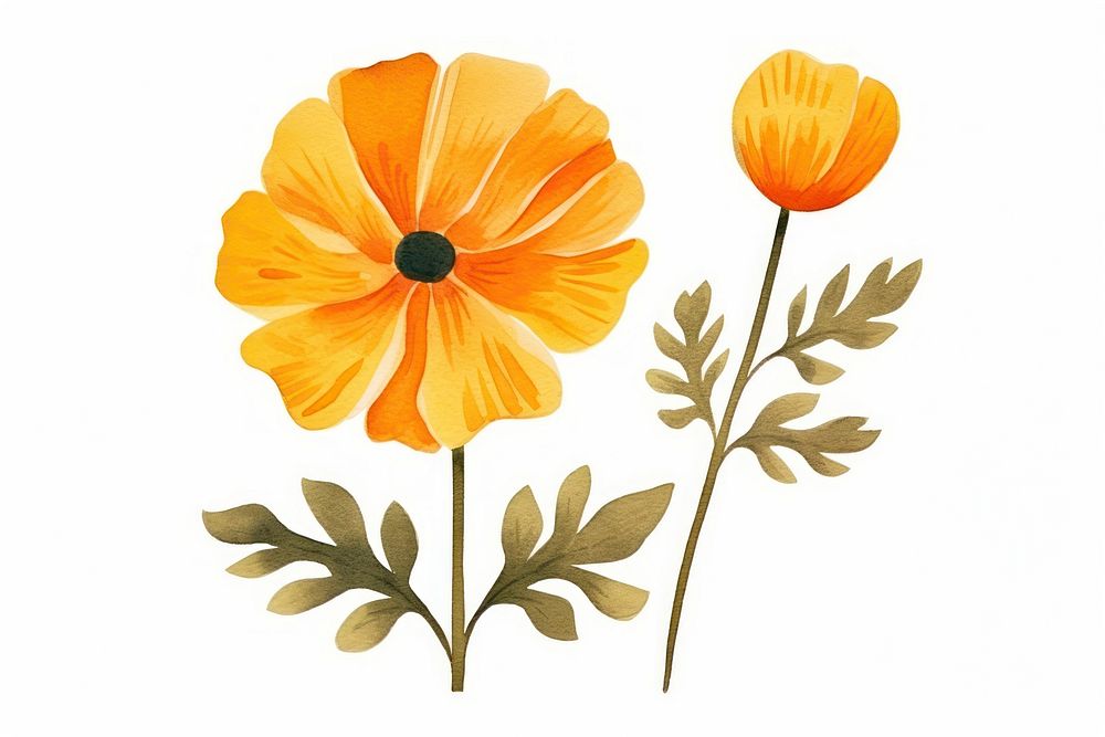 Flower poppy petal plant. AI generated Image by rawpixel.