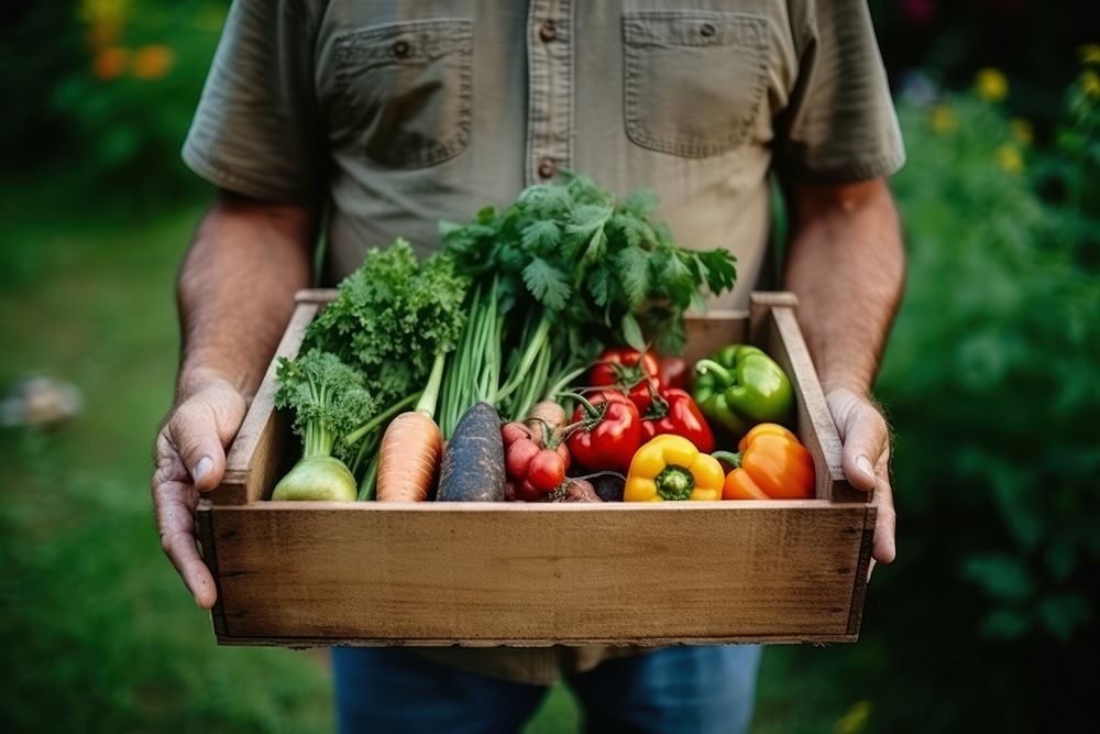 Vegetable plant adult food. AI generated Image by rawpixel.