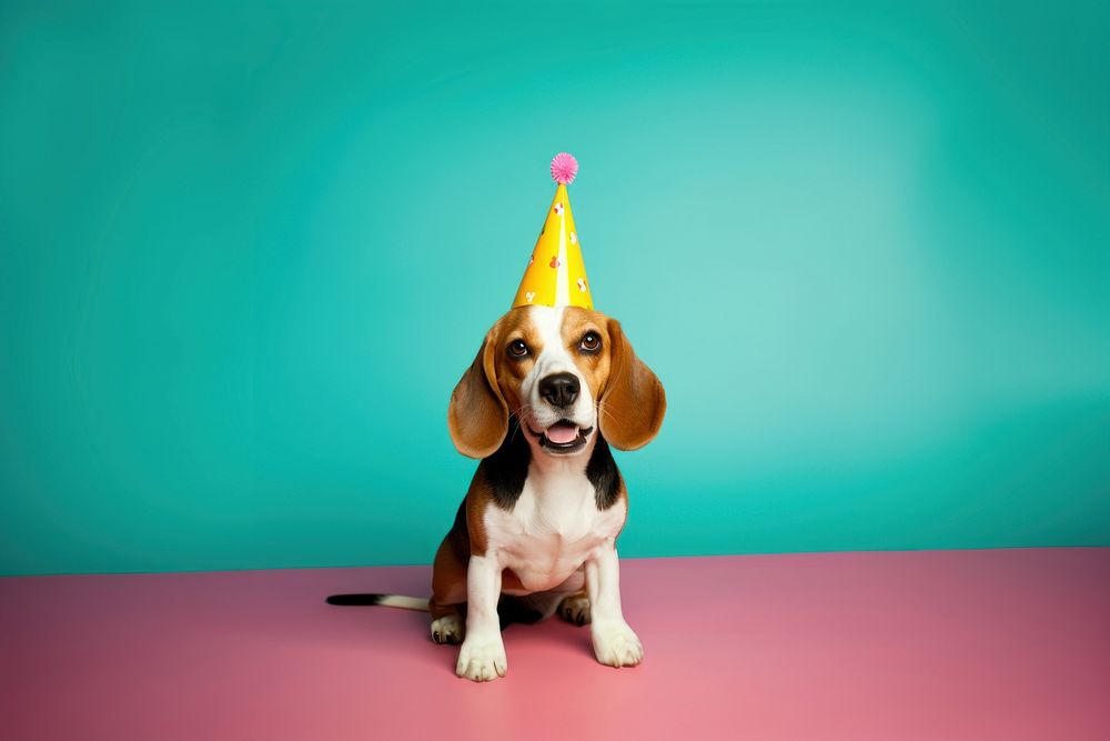 Dog birthday animal mammal. AI generated Image by rawpixel.