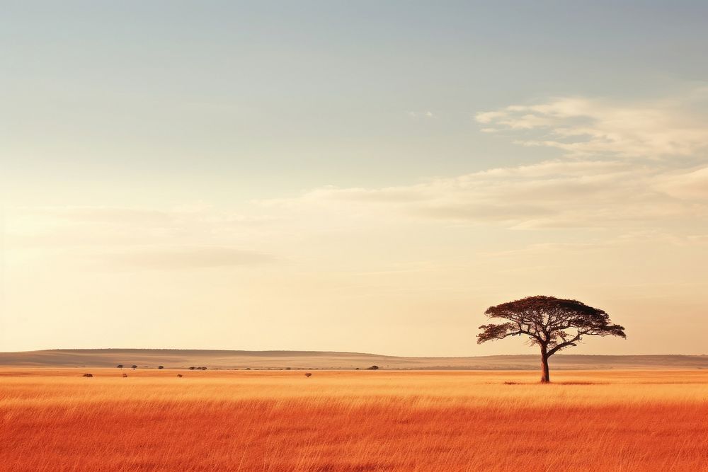 African savannas landscape outdoors horizon. AI generated Image by rawpixel.