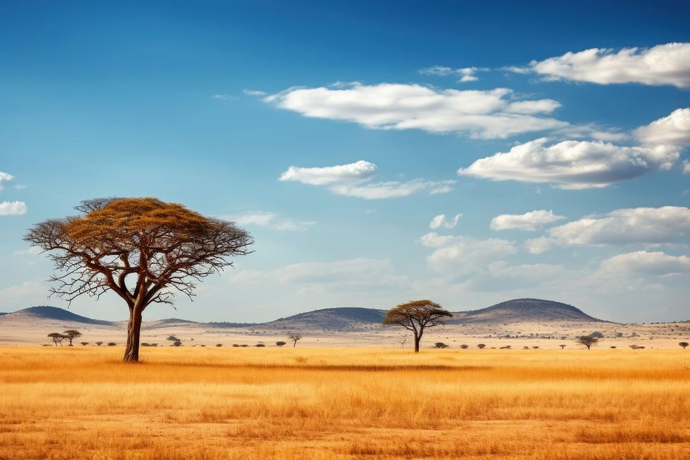 African savannas landscape grassland outdoors. AI generated Image by rawpixel.