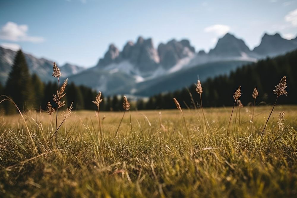 Dolomites italy sky landscape grassland. AI generated Image by rawpixel.