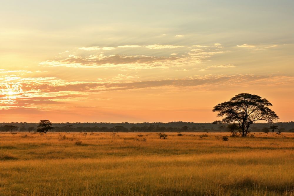 Savannas landscape grassland outdoors. AI generated Image by rawpixel.