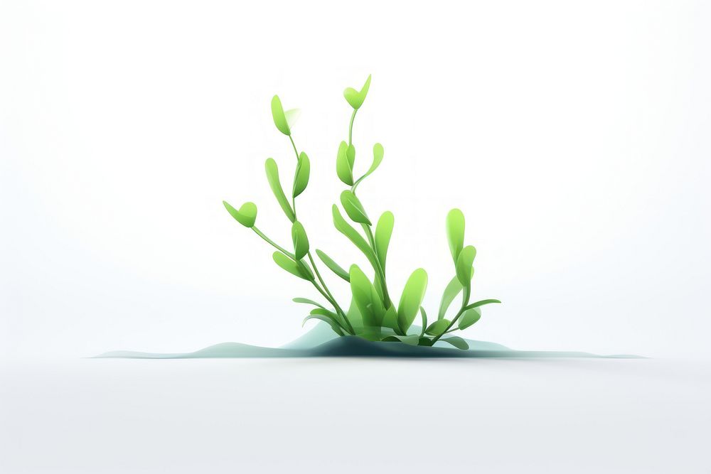 Seaweed plant white background underwater. AI generated Image by rawpixel.
