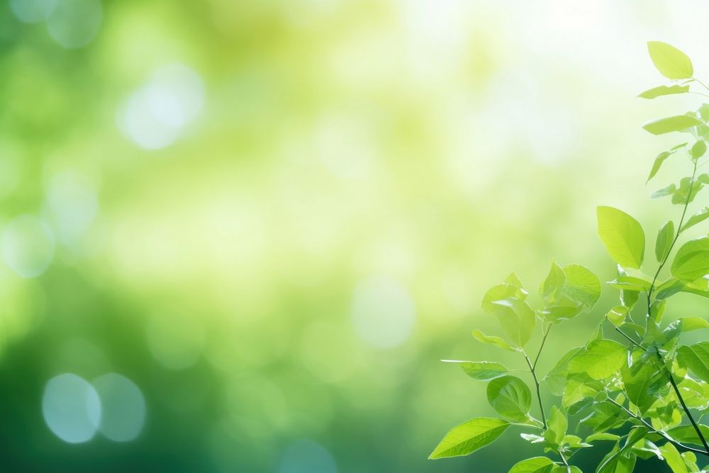 Green nature background green backgrounds sunlight. AI generated Image by rawpixel.
