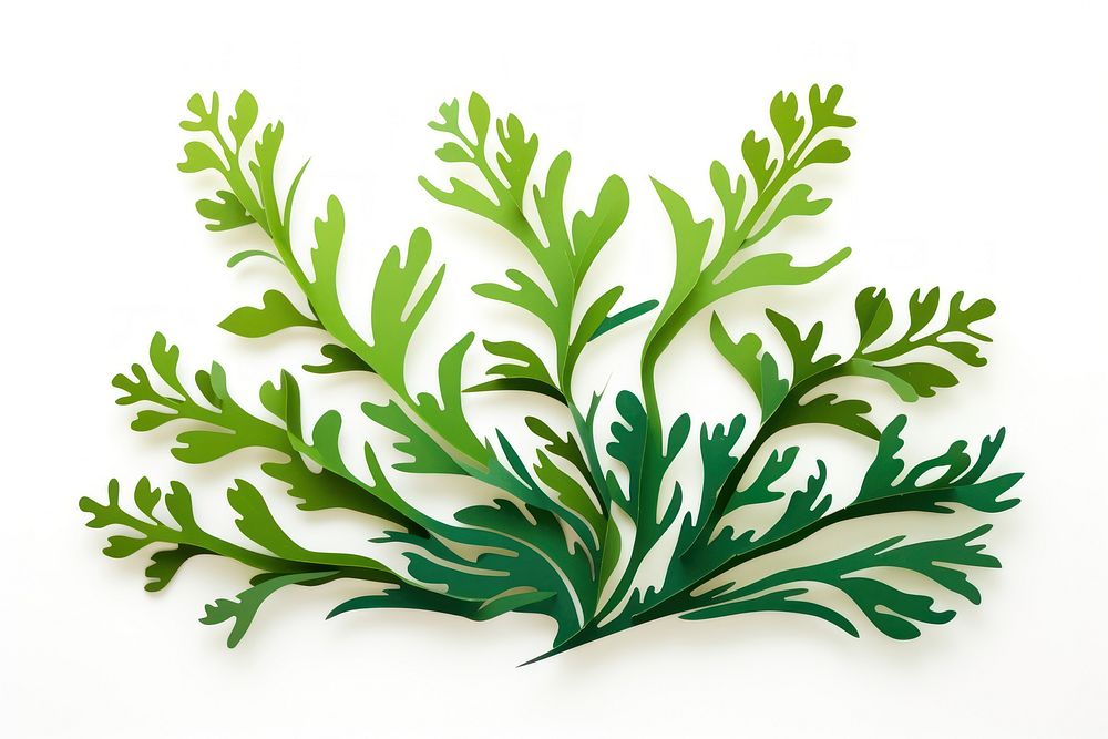 Seaweed parsley plant herbs. AI generated Image by rawpixel.