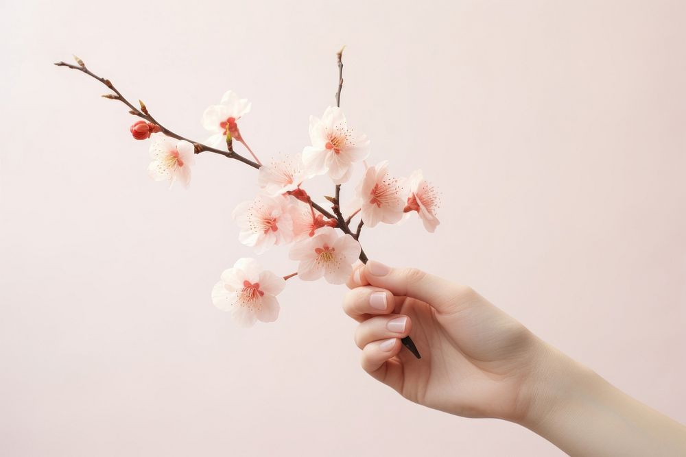 Flower hand blossom branch. 