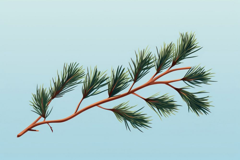 Pine branch plant tree fir. AI generated Image by rawpixel.