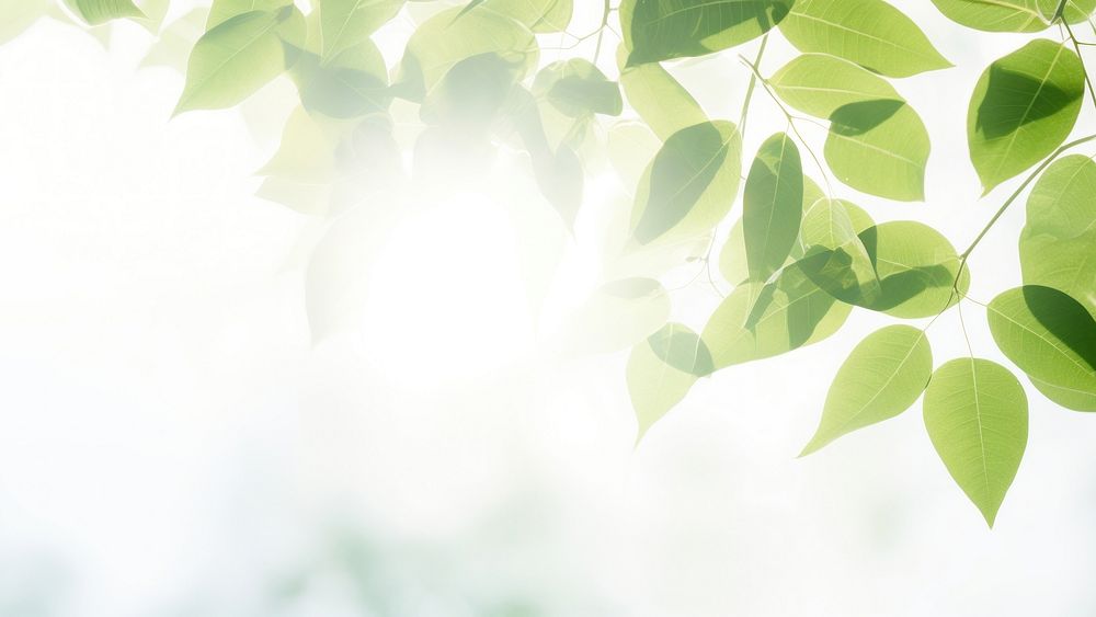 Leaves and sunlight background. AI generated Image by rawpixel.