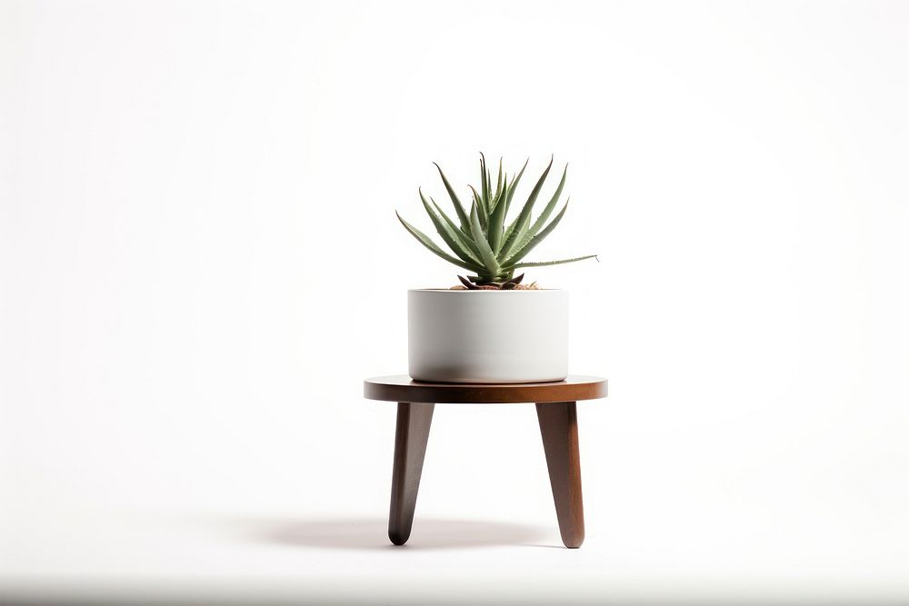 Table plant vase. AI generated Image by rawpixel.