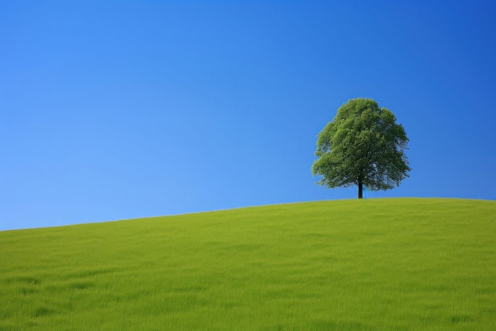 Green hill border tree sky landscape. 