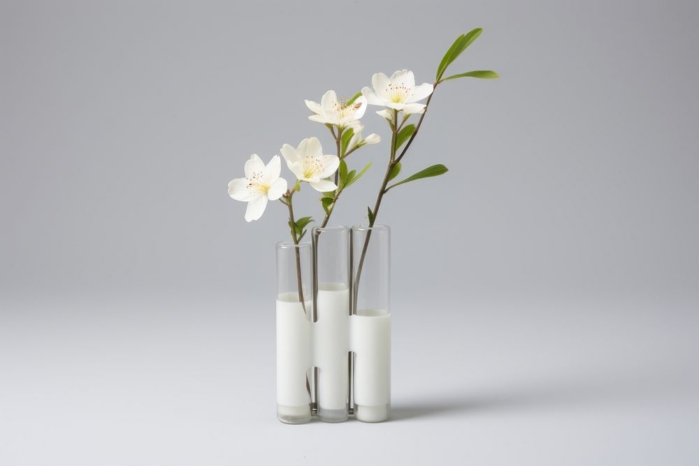 Flower vase plant white centrepiece. AI generated Image by rawpixel.