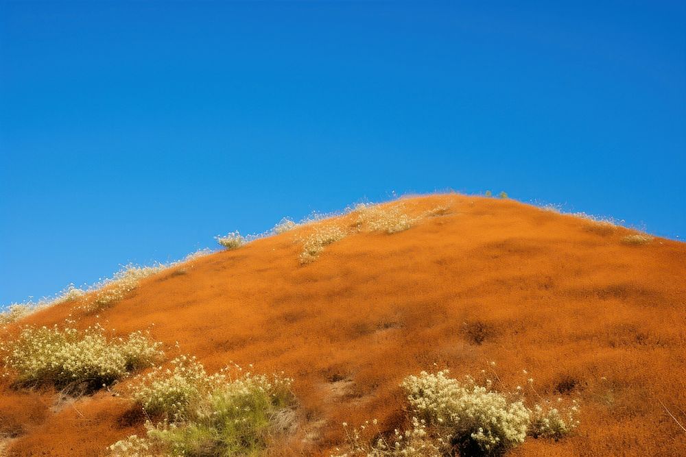 Orange hill with wildflowers under a clear blue sky. The hill is covered in orange vegetation and wildflowers, creating a…