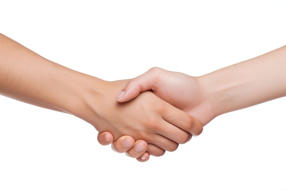 Hand handshake female adult. AI generated Image by rawpixel.
