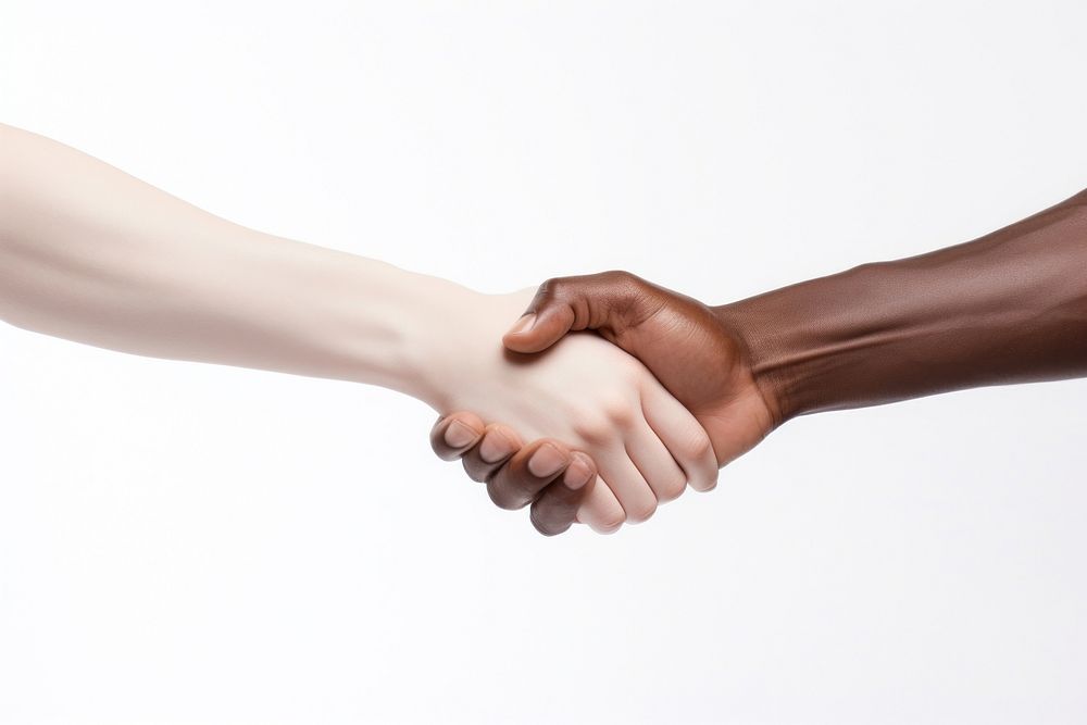Holding hands handshake adult white background. AI generated Image by rawpixel.