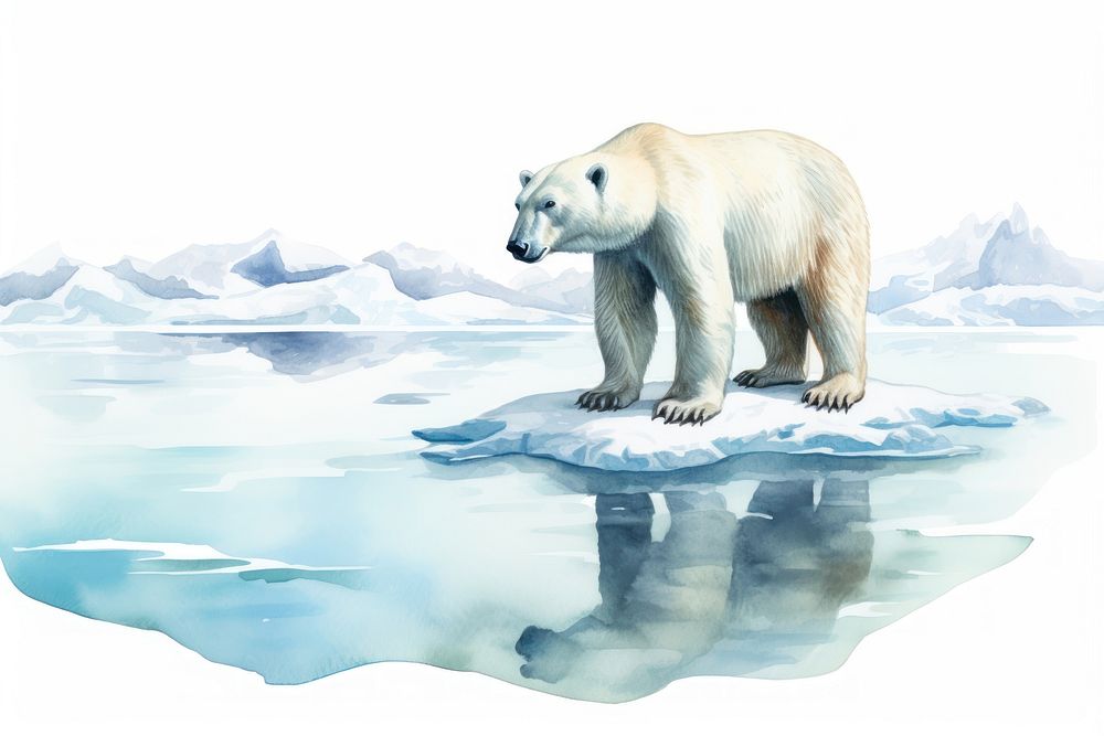 Climate change bear wildlife mammal. AI generated Image by rawpixel.