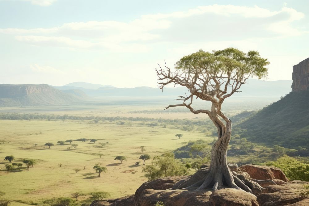 African national park nature tree wilderness. AI generated Image by rawpixel.