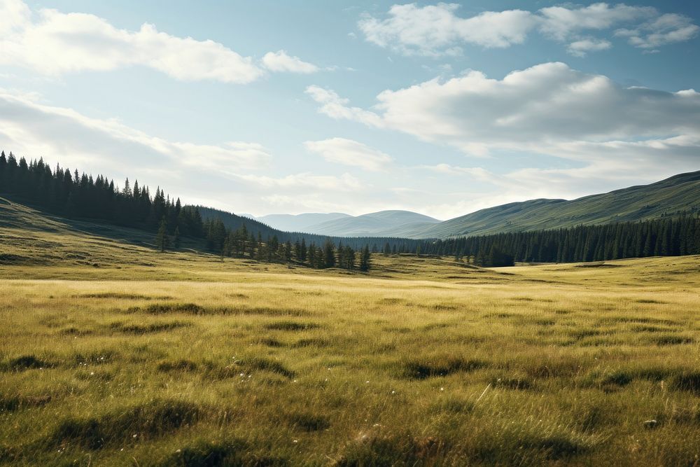Meadow land landscape grassland. AI generated Image by rawpixel.