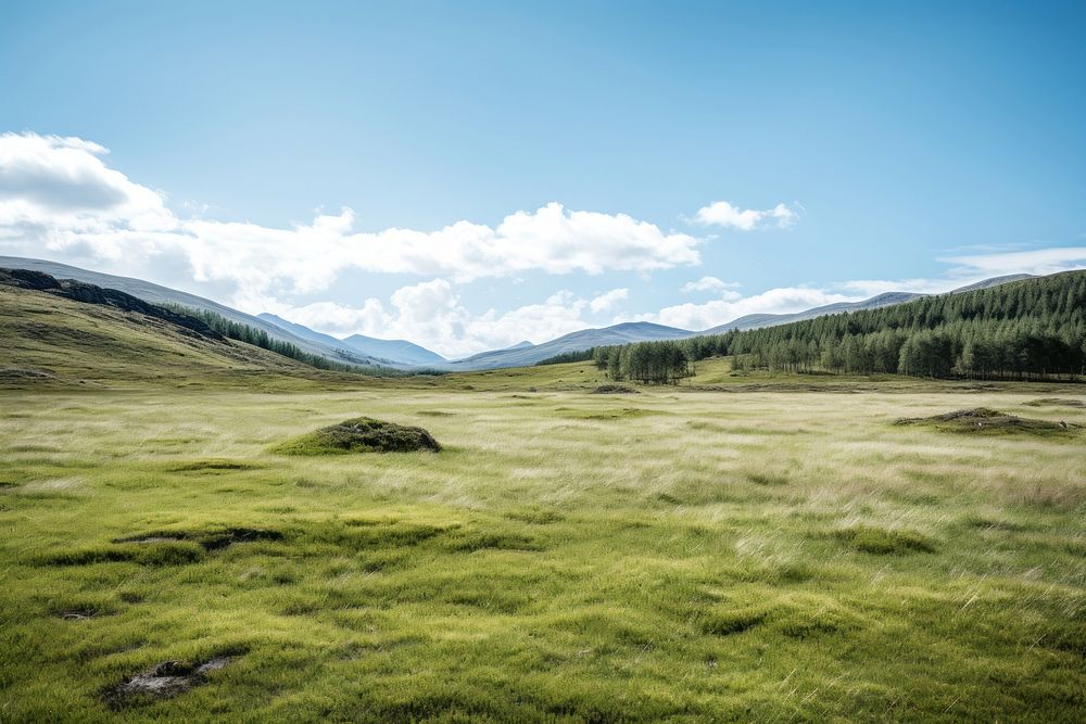 Meadow land landscape highland. AI generated Image by rawpixel.