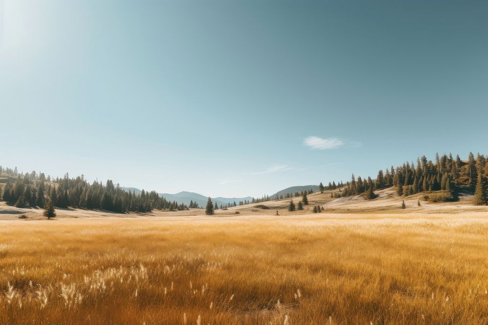 Meadow landscape outdoors nature. AI generated Image by rawpixel.